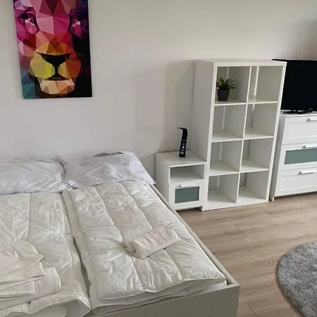 1 Zi-whg, Netflix, Wifi, Kueche, 15min Zum Zentrum Apartment *